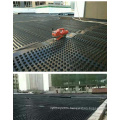 8 MM-20 MM Waterproofing HDPE Dimple Drainage Board for Underground Garage